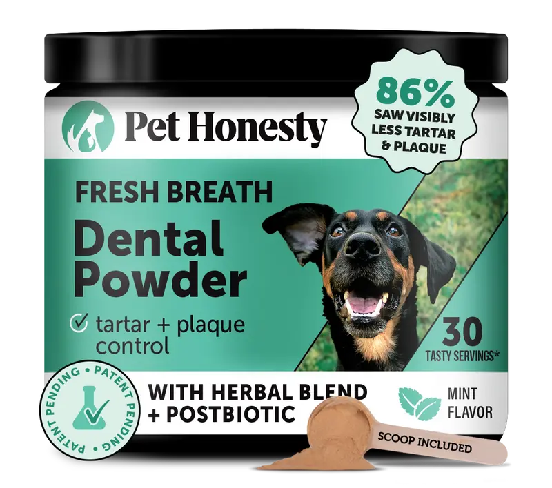 Dental Powder